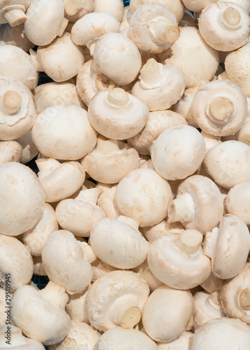 White fresh champignons close-up. Food, mushrooms