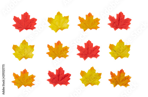 Autumn icon maple leaves texture. Background. Flat lay, Top view leaves Nature background © Chatchai