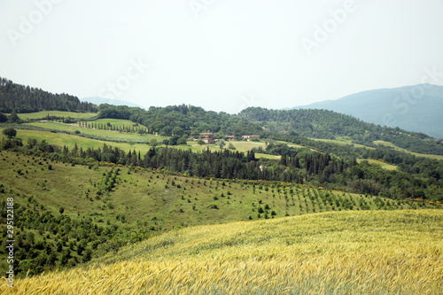 Traumhafter Blick auf die h  gelige weite Toskanalandschaft 