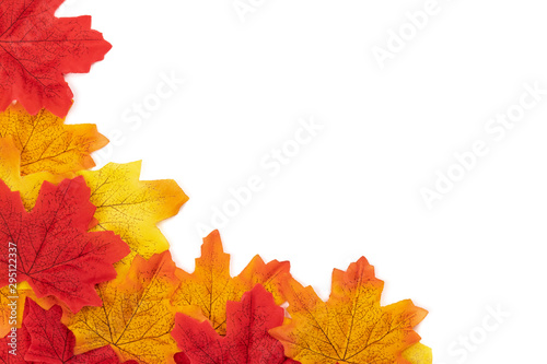 Top view creative frame design autumn maple leaves on white background. Frame of autumn leaves card  poster or banner concept