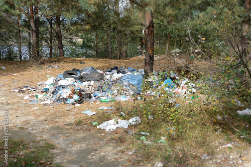 Garbage in the forest. Environmental pollution.