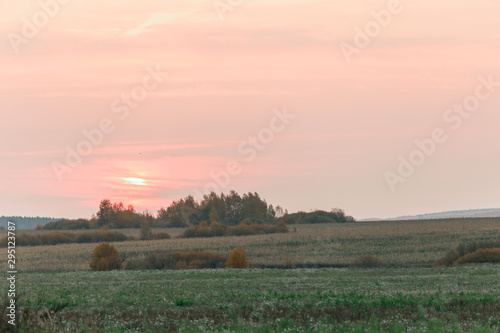 Sun disc on a red sky during sunrise over a meadow in the countryside.