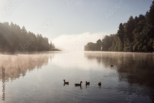Photography Morning fog over Willamette River seen from George Rogers Park in Lake Oswego, Oregon