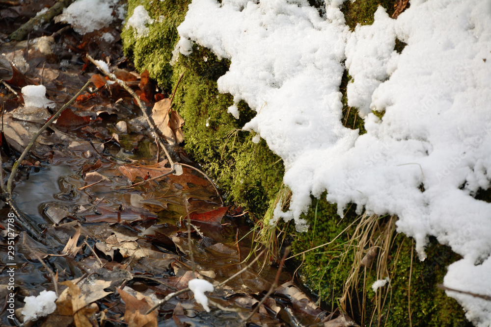 Obraz premium Pierwszy śnieg