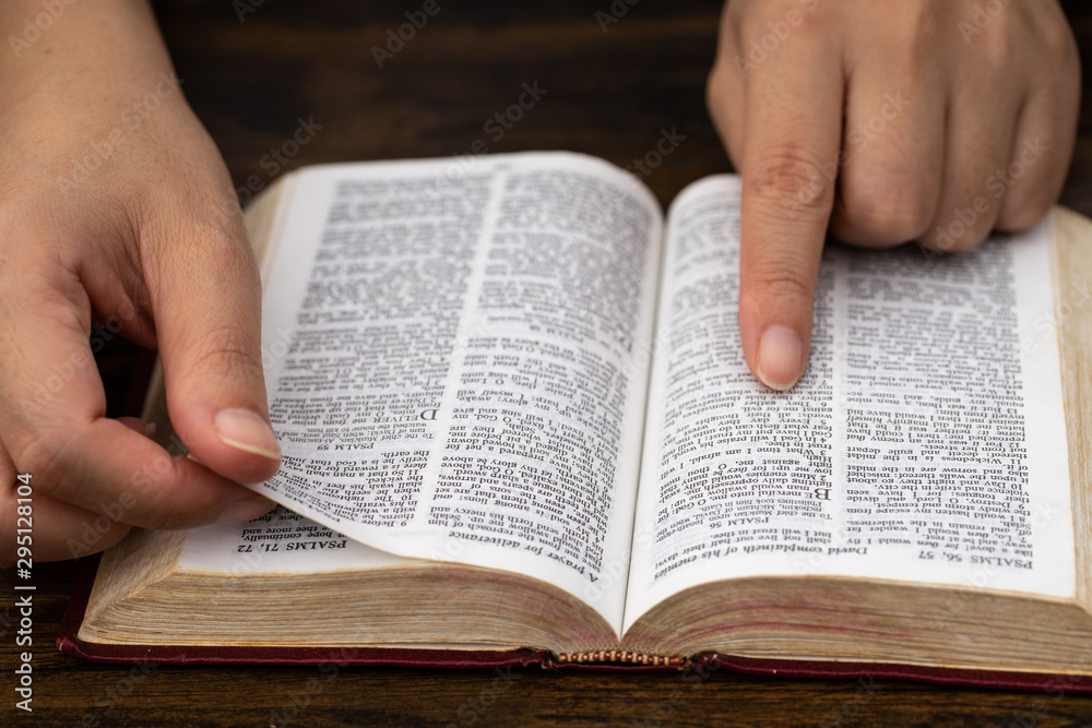 Fototapeta premium Women reading the Holy Bible.,Reading abook.