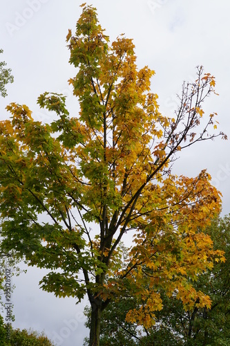 Obraz na plátně equinox fall harvest season autumnal equinox Indian summer back end harvesting