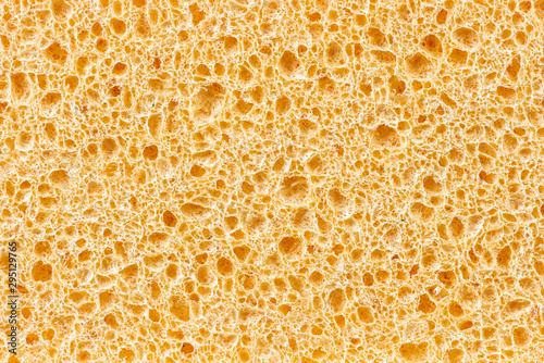Macro view cellulose sponge texture photo