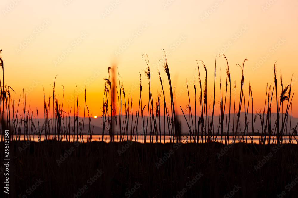 sun setting through grass in autumn sunset with orange and yellow sky, a scene symbol of peacefulness and meditation