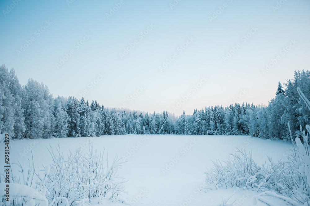 Beautiful winter landscape, frozen lake on a forest background