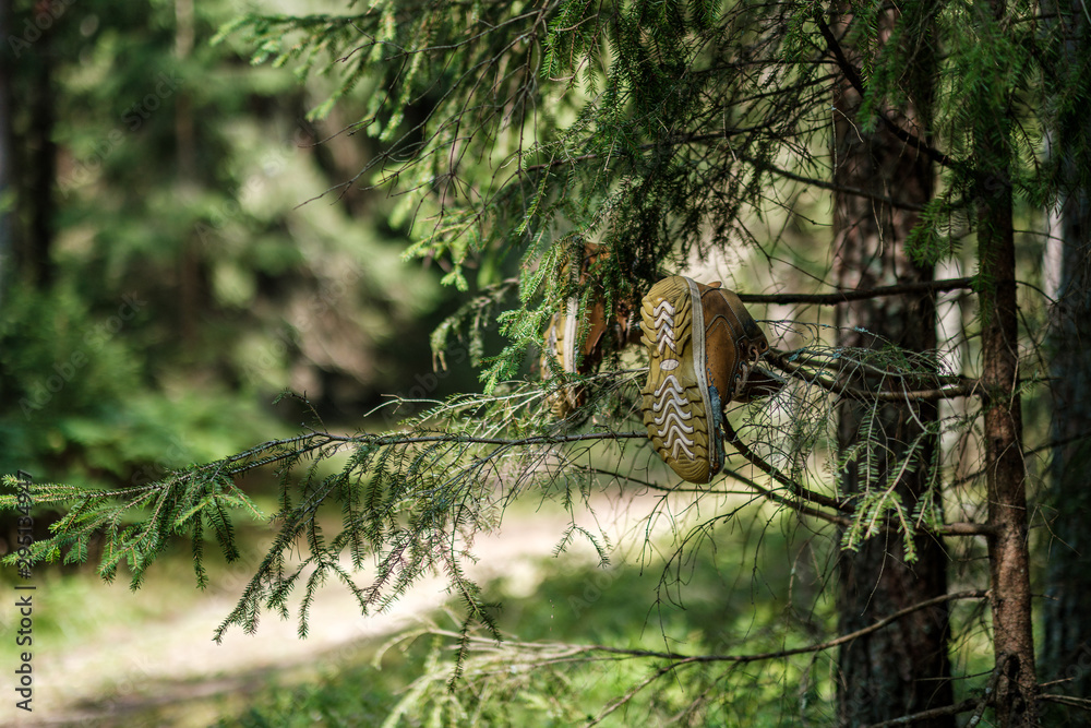 Fototapeta premium small narrow trail in the woods