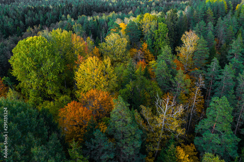 Łotewska jesień natura. Las i droga. Widok z góry.
