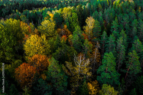 Latvian autumn nature. View from the top.