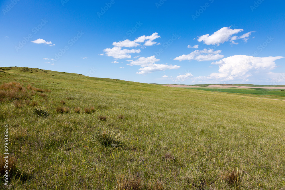 Bright white clouds over green grassland.