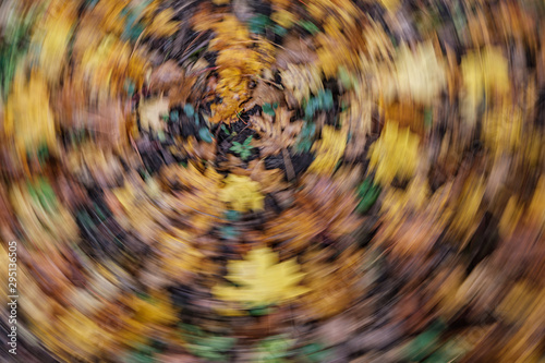 autumn pattern. abstract with green tree leaves