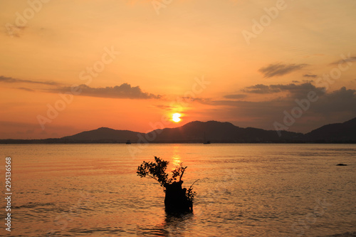 Silhouettes of tree in front of sunset on the beach/ Beautiful sunset on the beach with mountain and sky clouds/ © JEERANAN