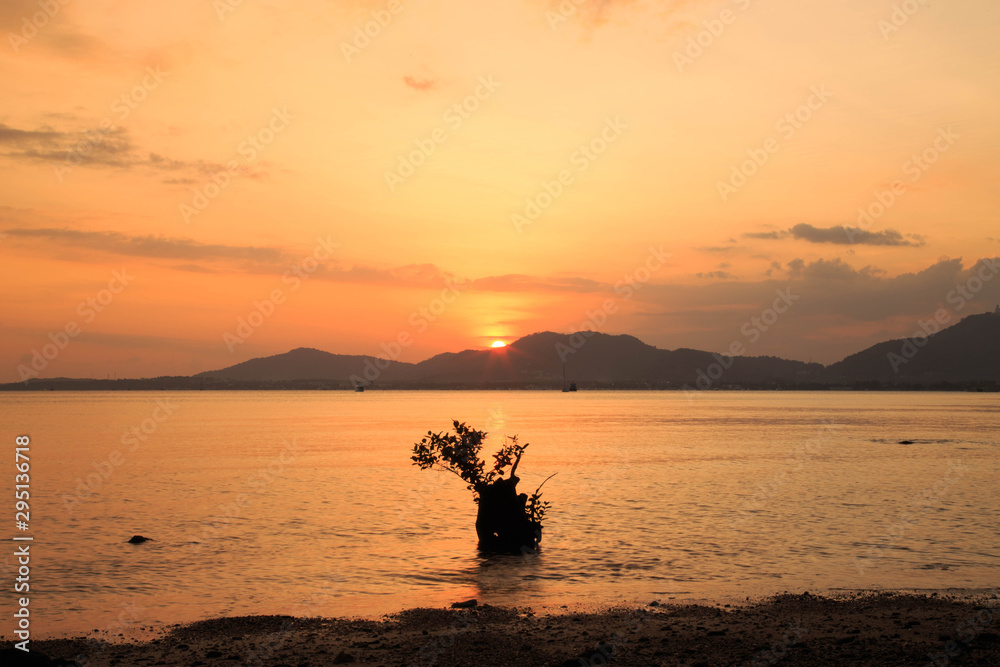 Silhouettes of tree in front of sunset on the beach/ Beautiful sunset on the beach with mountain and sky clouds/