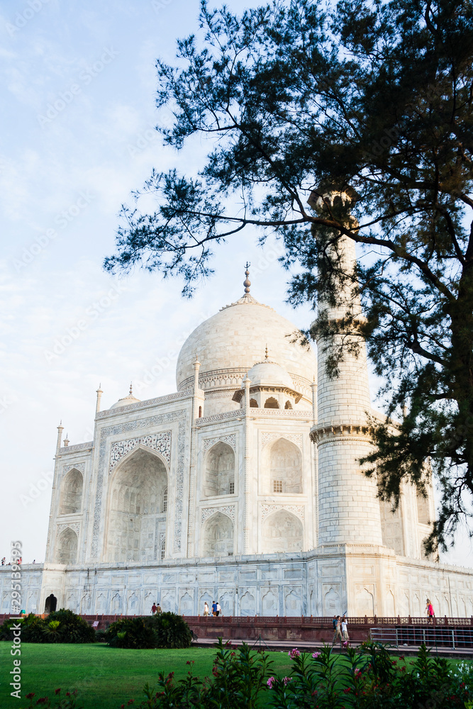 Agra, India. Taj Mahal against blue sky framed by tree.