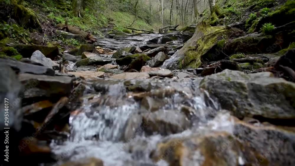 Creek in Great Smoky Mountain National Park Creek in Great Smoky Mountain National Park
