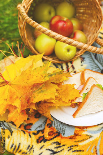 picnic with sandwiches and a basket of apples in the autumn garden