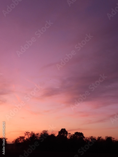 Sunset in a park