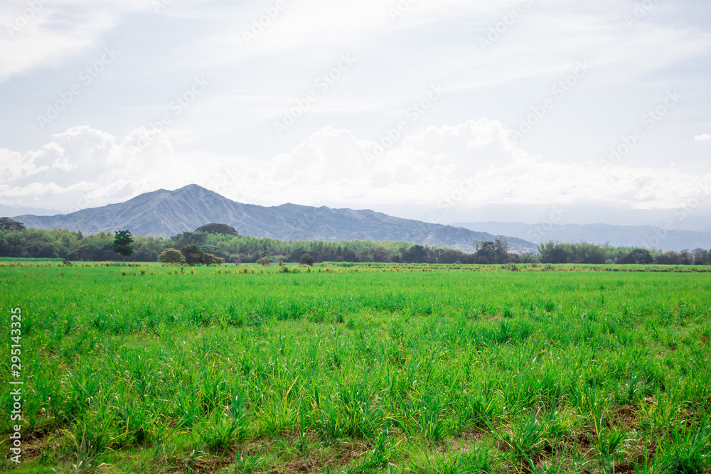beautiful landscape on a journey towards new adventures beautiful landscape on a journey towards new adventures