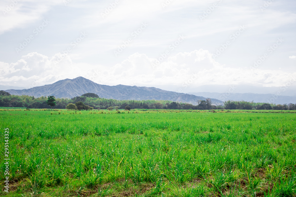 beautiful landscape on a journey towards new adventures