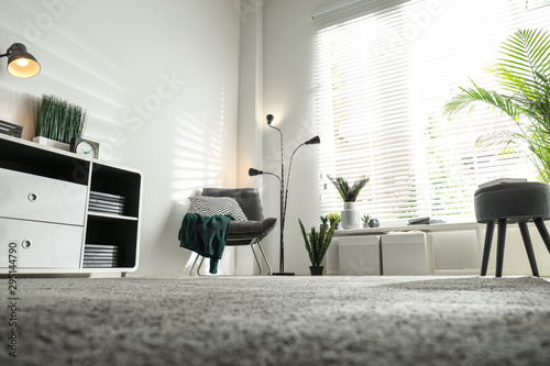 Beautiful tropical plants with lush leaves in stylish living room interior, low angle view photo