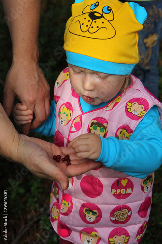 the child eats the berries
