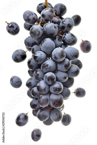 Ripe bunch of blue grapes isolated