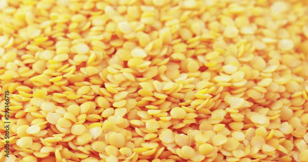 Lentil Persian bulk Lentil Persian bulk