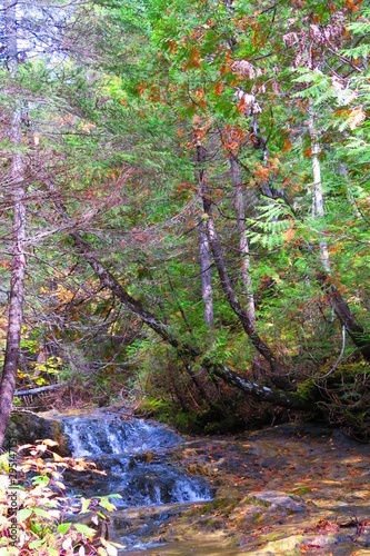 cascade au Canada