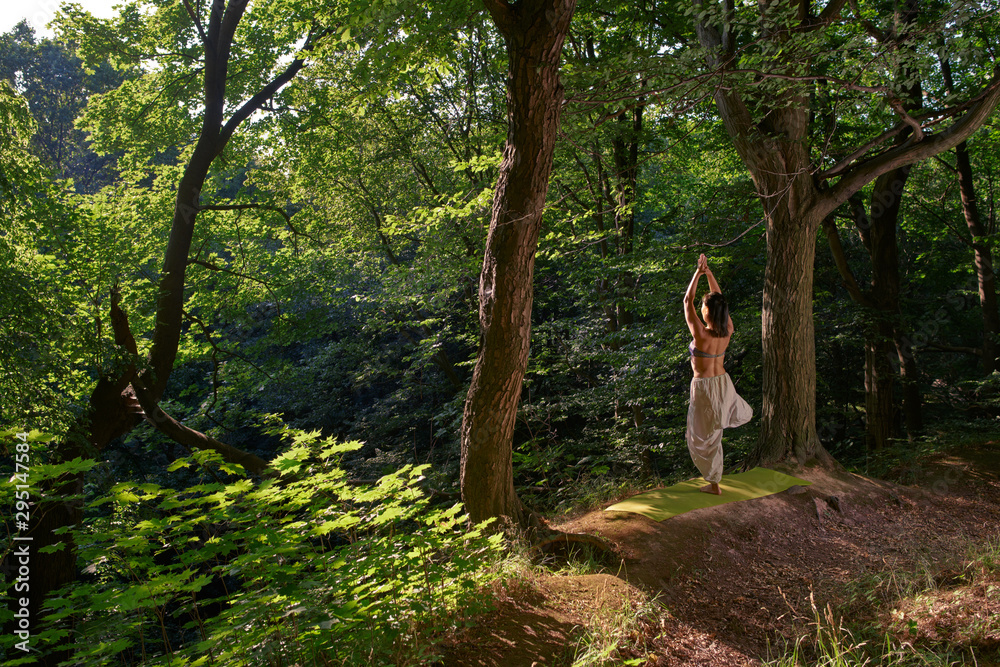 Woman practices yoga alone in the forest Back view Outdoor activity Young attractive asian woman practicing yoga, doing exercise working out Woman is meditating alone at sunrise Woman practices yoga alone in the forest Back view Outdoor activity Young attractive asian woman practicing yoga, doing exercise working out Woman is meditating alone at sunrise