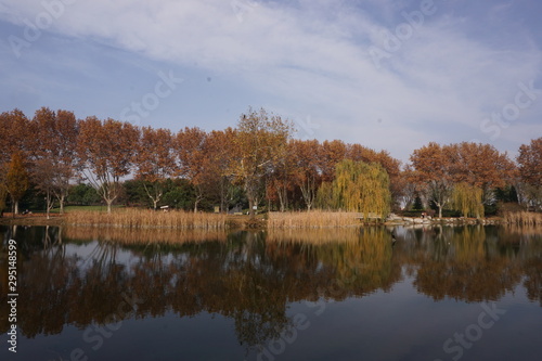 Autumn in the park © Ufuk