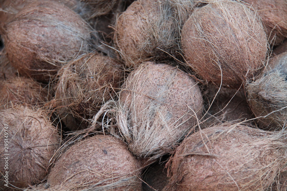 A Background Image of Fresh Coconut Husks. A Background Image of Fresh Coconut Husks.