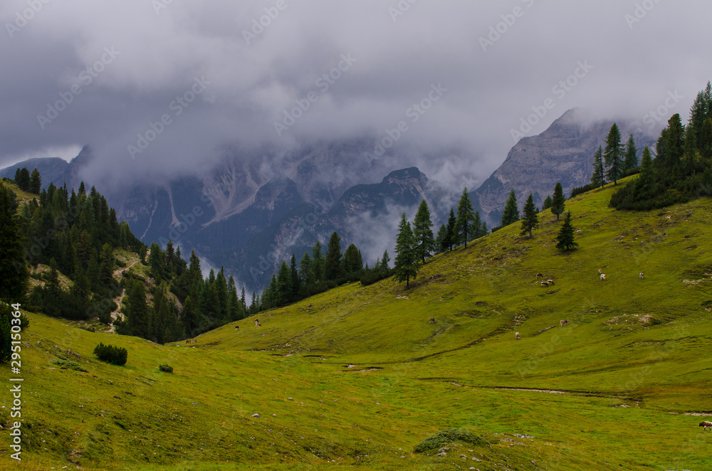 Dolomiten -Südtirol