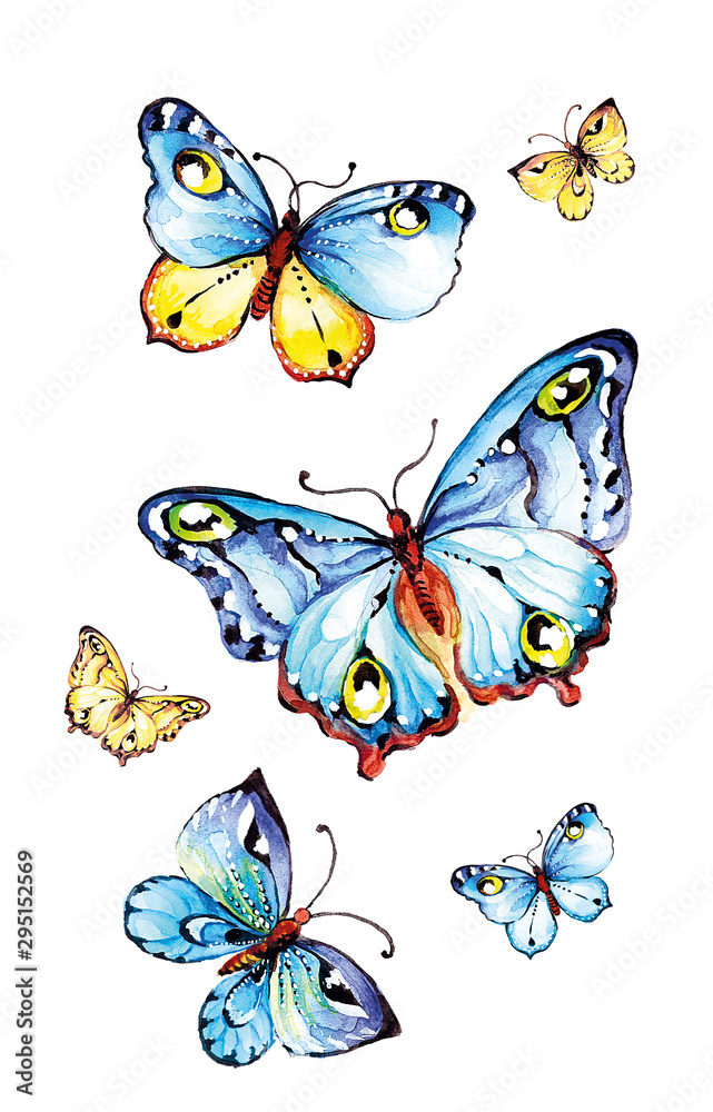 custom made wallpaper toronto digitalblue butterflies