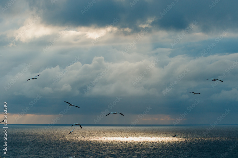 Abendszene an Küste vor Hintergrund mit Wolken Lichtstrahlen und Regen im Hintergrund