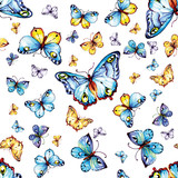 pattern blue butterflies