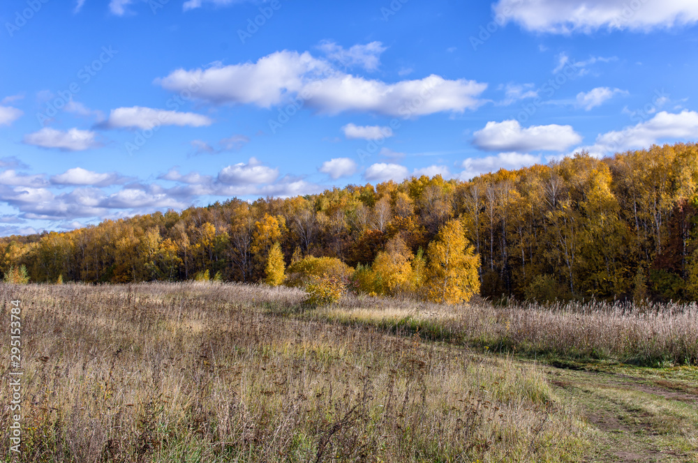 Landscape of autumn, mixed forest in the southeast of the Moscow region. Ravine and field Landscape of autumn, mixed forest in the southeast of the Moscow region. Ravine and field