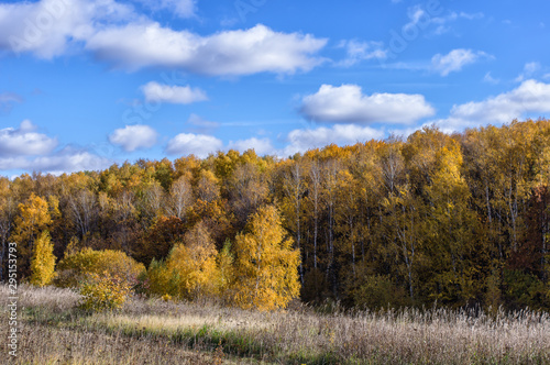 Landscape of autumn, mixed forest in the southeast of the Moscow region. Ravine and field