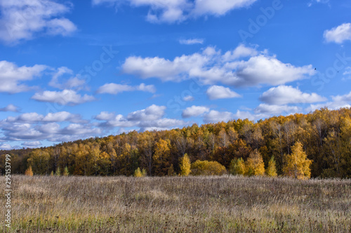 Landscape of autumn  mixed forest in the southeast of the Moscow region. Ravine and field