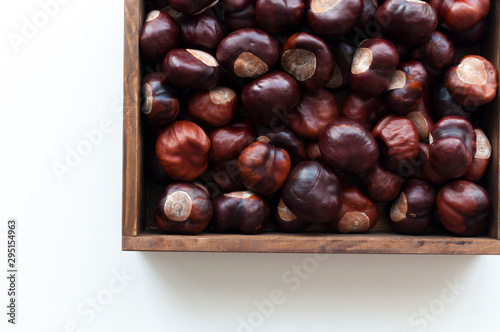 View from above on autumn decoration with harvested chestnuts in dark wooden box. White table background.