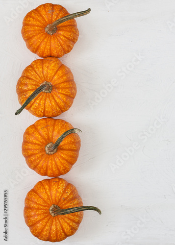 four pumpkins on white rustic  background