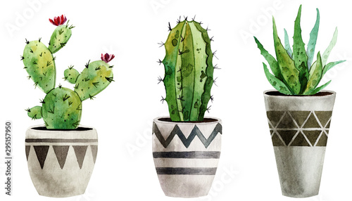 Set of watercolor hand-painted houseplants in flowerpots. can be used for poster, greeting card, scrapbooking, interior sketching. Trendy floral greenery elements isolated on white background