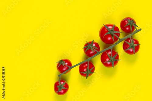 cherry tomatoes on a green branch isolated on yellow photo