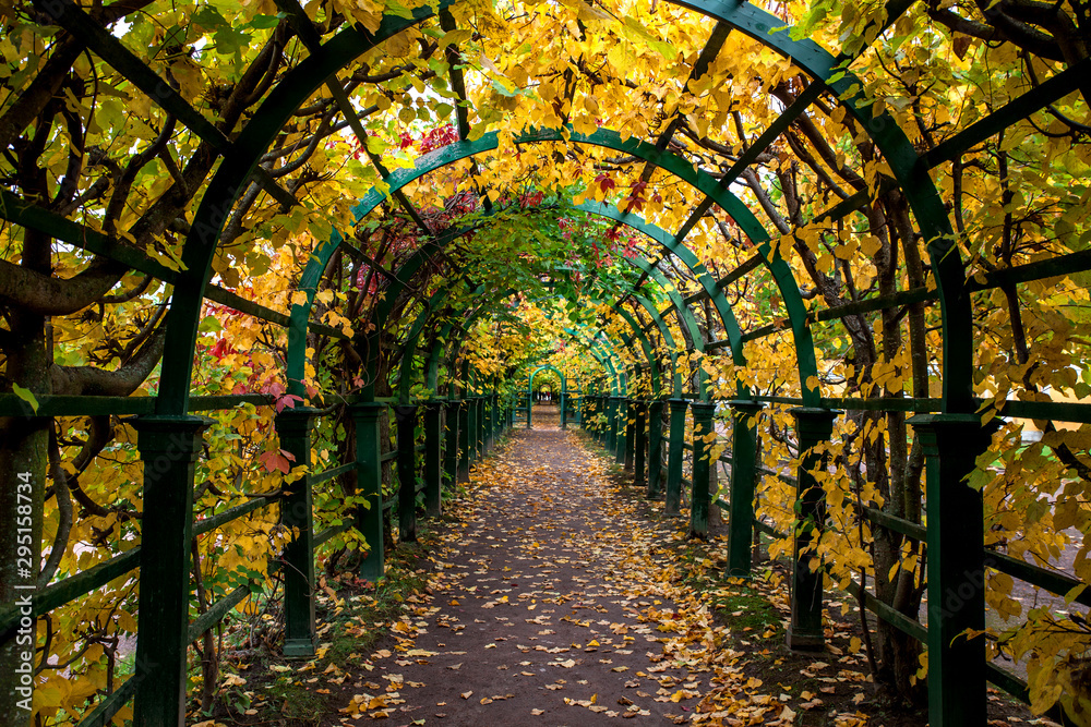 Fototapeta premium empty way under arch decorated with autumn foliage