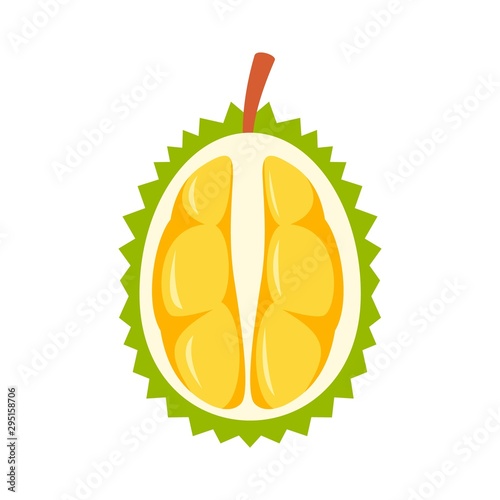 Half fresh durian icon. Flat illustration of half fresh durian vector icon for web design