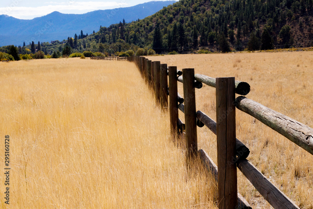 Obraz premium Local Park in Rural Northern California
