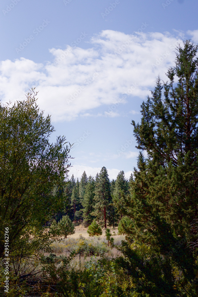 Scenic park in Northern California Scenic park in Northern California