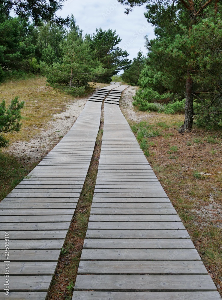 Holzsteg durch Wald Holzsteg durch Wald